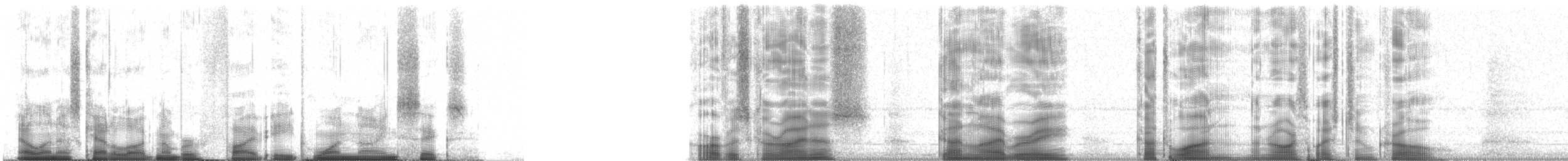 American Crow - ML58196