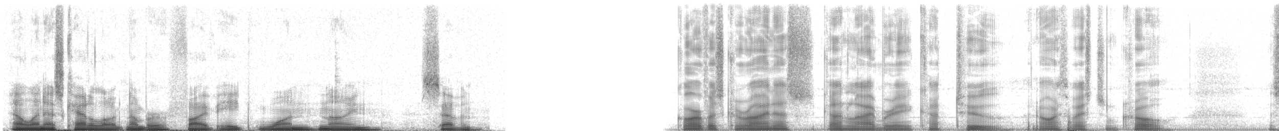 American Crow - ML58197