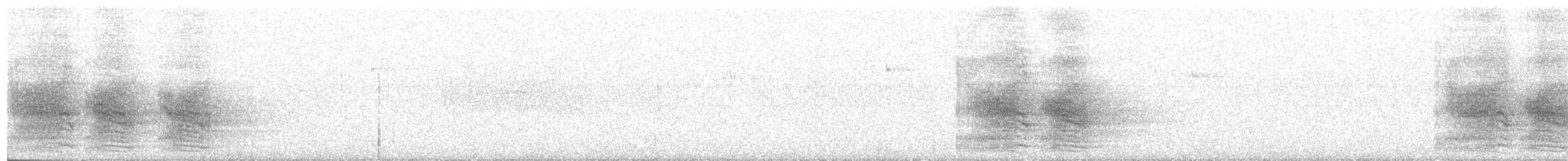 Сизойка чорноголова [група stelleri] - ML58201131