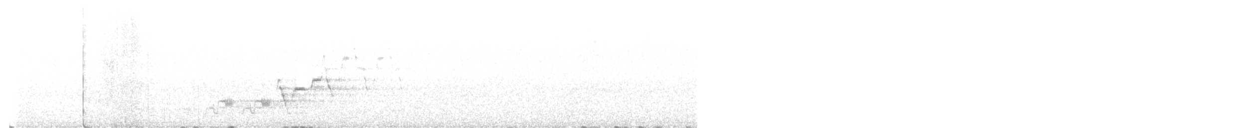 Tordo di Swainson - ML582022441