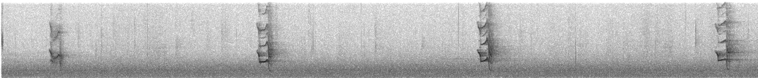 Chevêchette australe - ML582052761