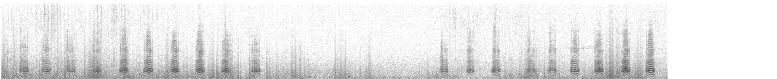husice patagonská - ML582092801