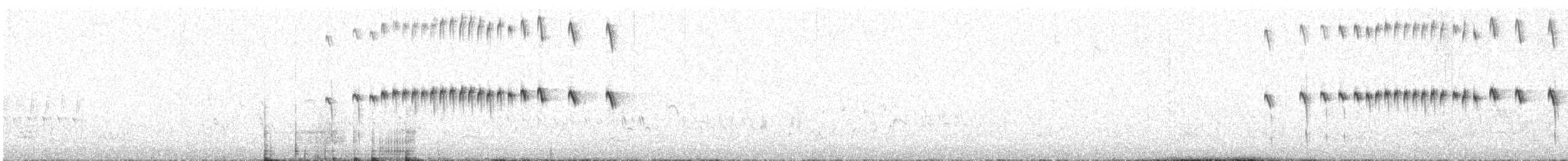 Трясохвіст острівний - ML582093291