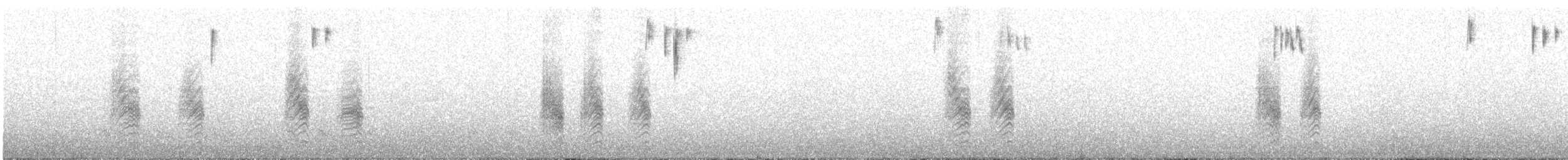 Фолклендский крапивник - ML582097631