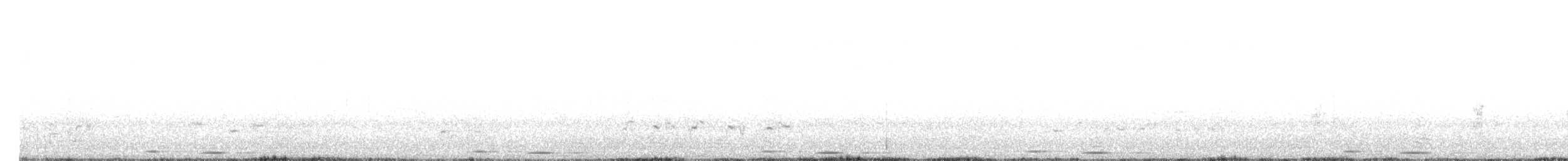 Kuku eurasiarra - ML582098111