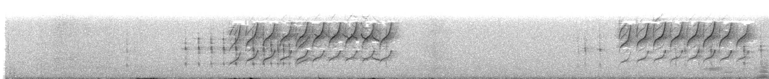 Cisticole grise - ML582104521