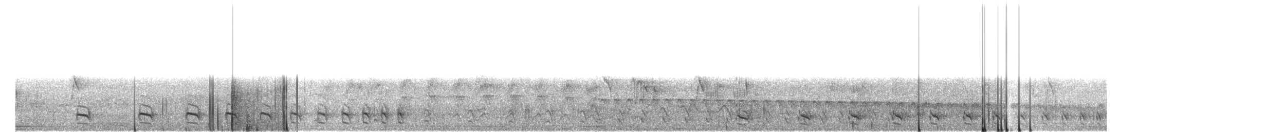 Аспидный колючник (leucogaster/huallagae) - ML582105801