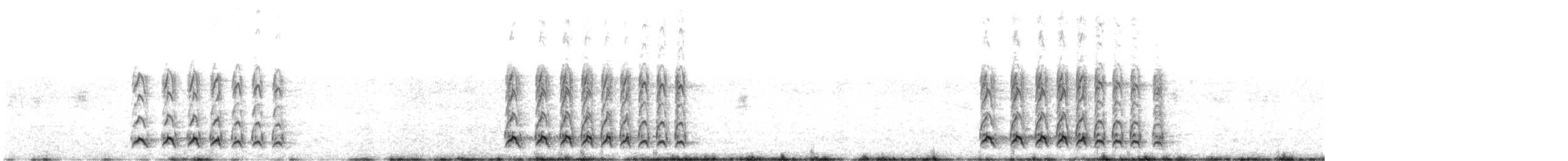 נץ קולני בהיר - ML582106661