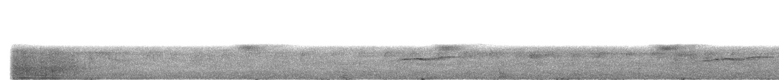 Énicure de Leschenault (sinensis/indicus) - ML582111451