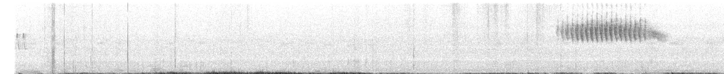 Желтокрылая червеедка - ML582113001
