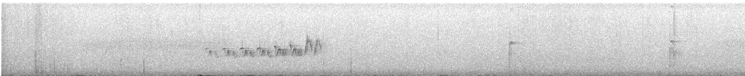Haarspecht (orius/icastus) - ML582132161