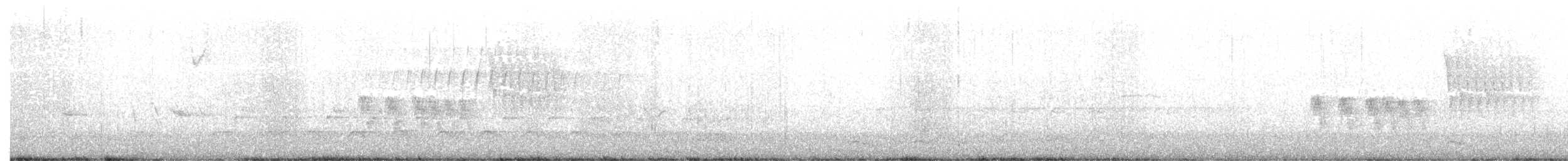 Тауї плямистий - ML582137501