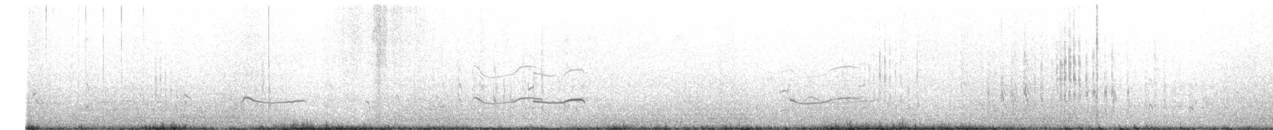 Black-bellied Plover - ML582138841