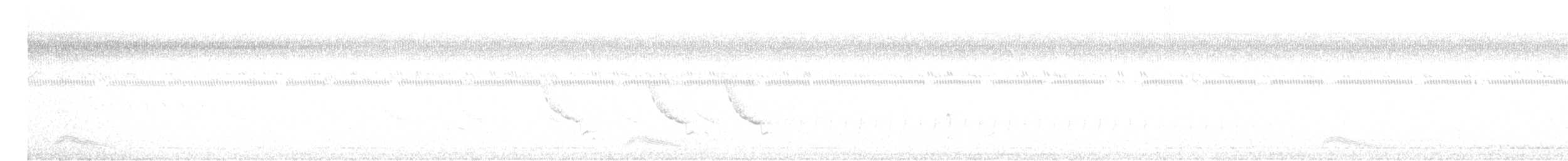 Pauraquenachtschwalbe - ML582148051