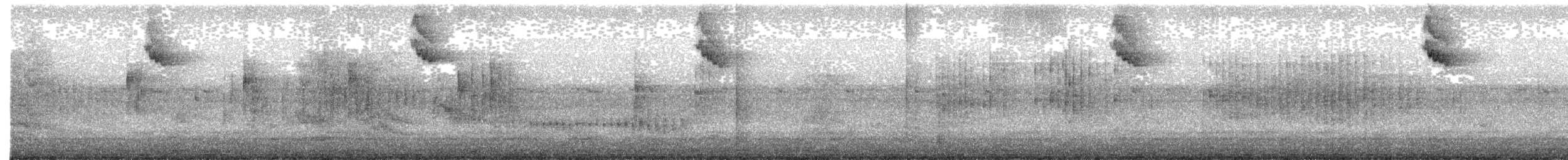 Great Dusky Swift - ML582157821