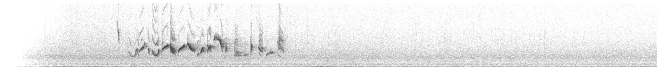 pěnice pokřovní (ssp. althaea) - ML582167491