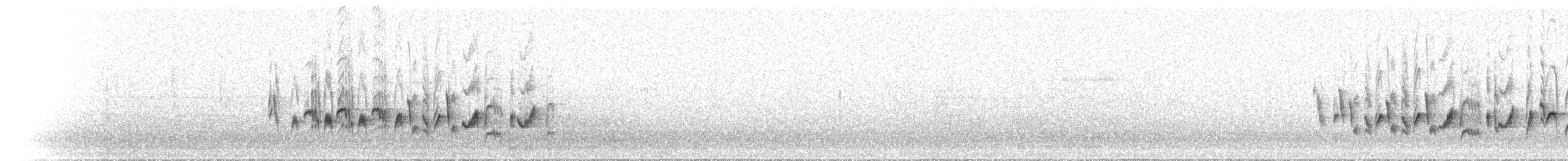 Fauvette babillarde (althaea) - ML582167531