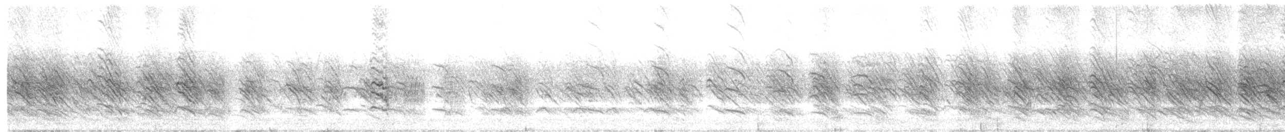 mursvale (pyrrhonota gr.) - ML582178581