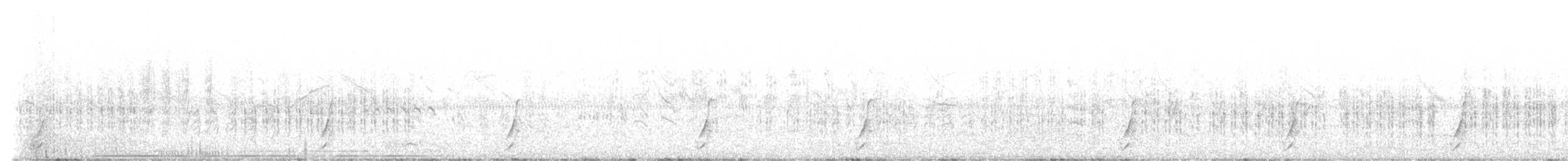 斑胸秧雞 - ML582193541