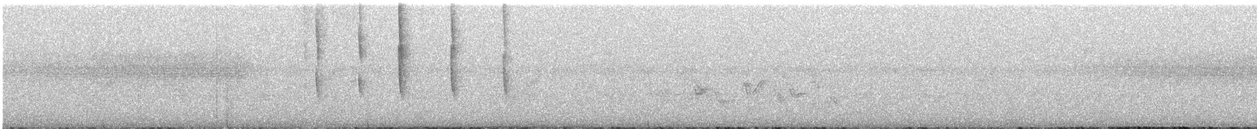 Широкохвостый колибри - ML582213131