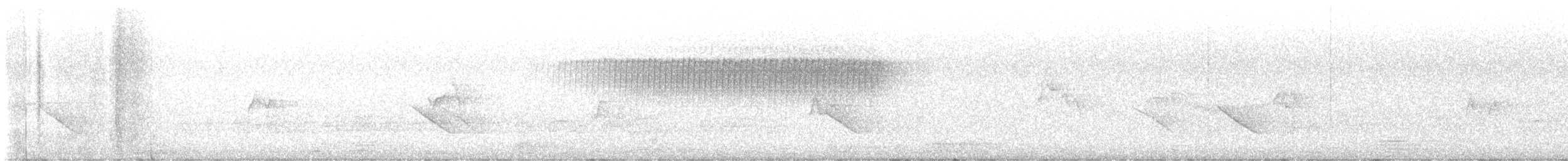 Paruline vermivore - ML582219361