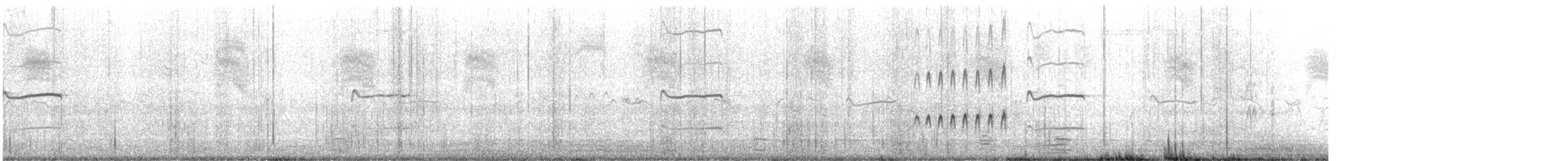 Bécassin à long bec - ML582286141