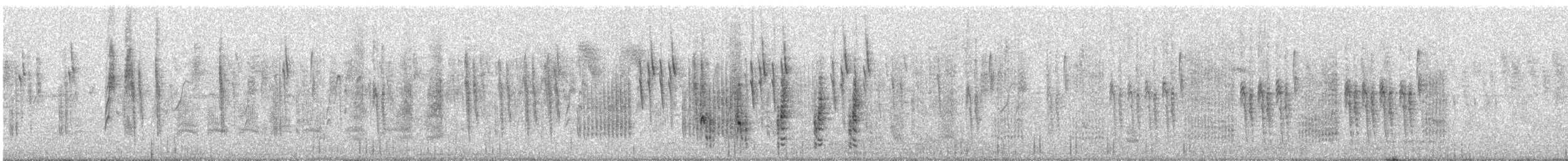 Rousserolle effarvatte (groupe baeticatus) - ML582293551