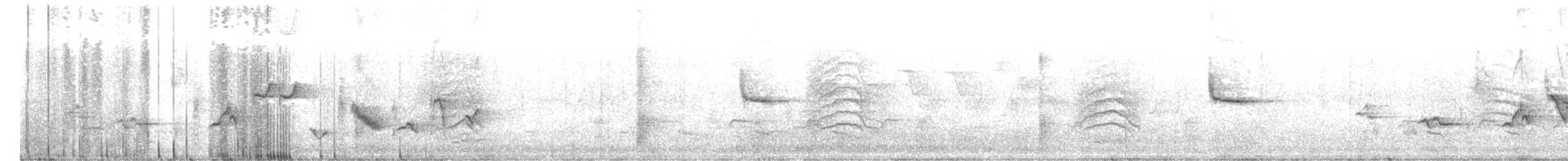 Oriole des vergers - ML582293591