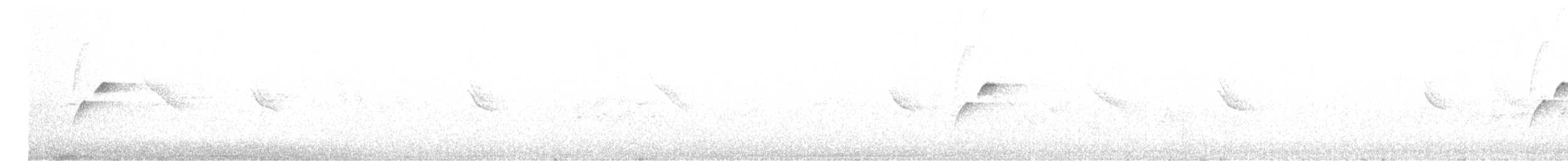 Batı Amerika Sinekkapanı (occidentalis/hellmayri) - ML582304641