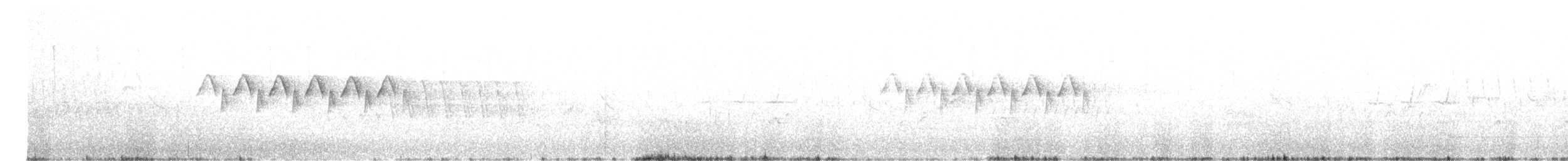 Yellow-rumped Warbler (Audubon's) - ML582304991