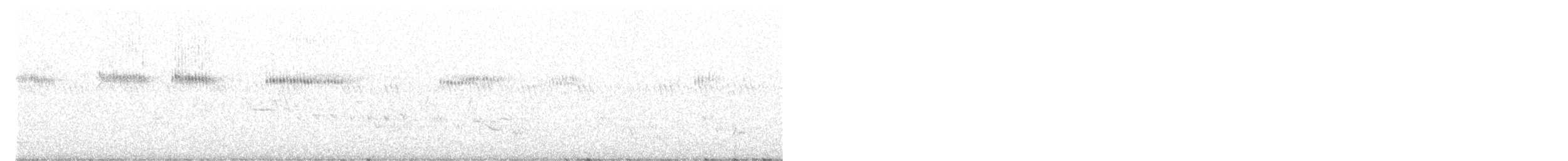 Широкохвостый колибри - ML582305911