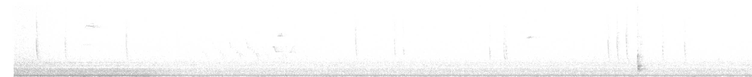 Broad-tailed Hummingbird - ML582308781
