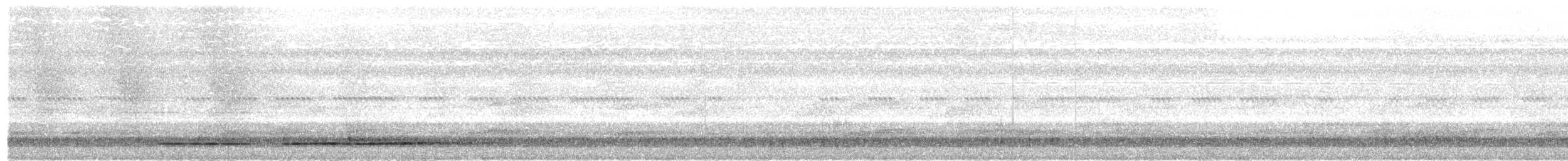 Волнистый скрытохвост - ML58232001