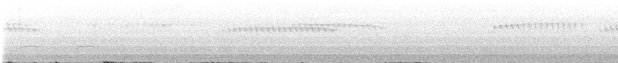 Northern Pygmy-Owl (Pacific) - ML582321701