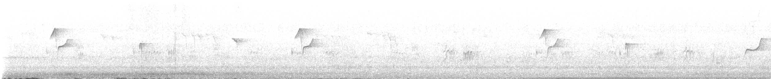 Western Flycatcher (Pacific-slope) - ML582322191