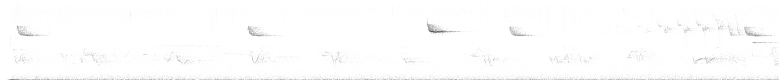 Brown Creeper - ML582344831