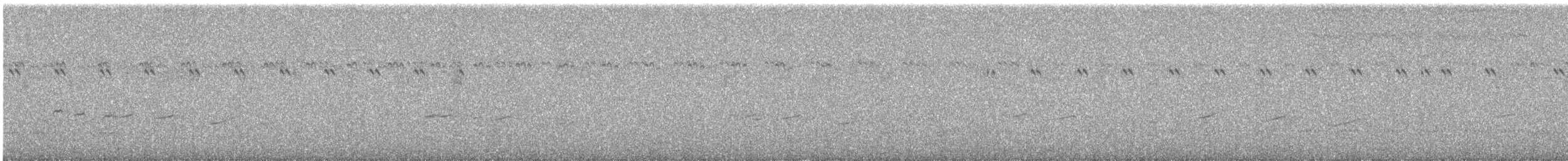Kurriçeyn Ardıcı - ML582359521