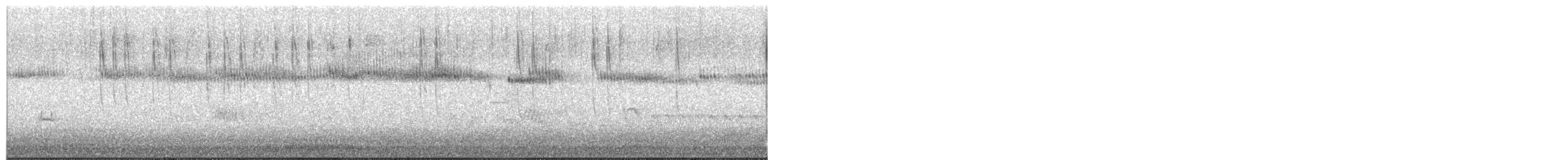 Broad-tailed Hummingbird - ML582370391