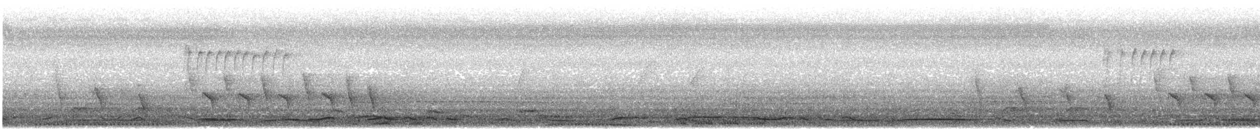 holub klínoocasý - ML582389371
