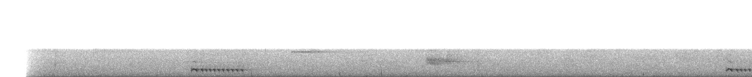 Cocha Antshrike - ML58240211