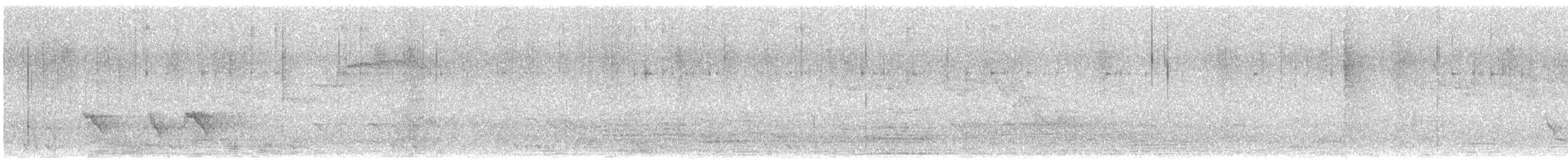 Allotrie siamoise (ripleyi) - ML582402561