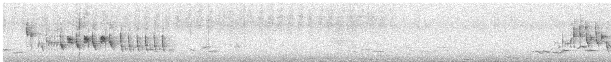 Klappergrasmücke (curruca/blythi/halimodendri) - ML582408421