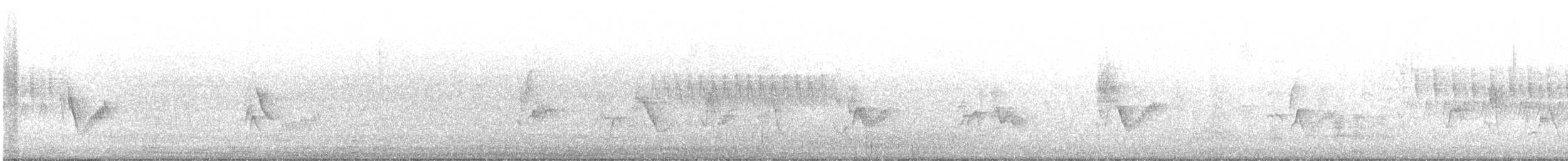Cassinvireo - ML582417411