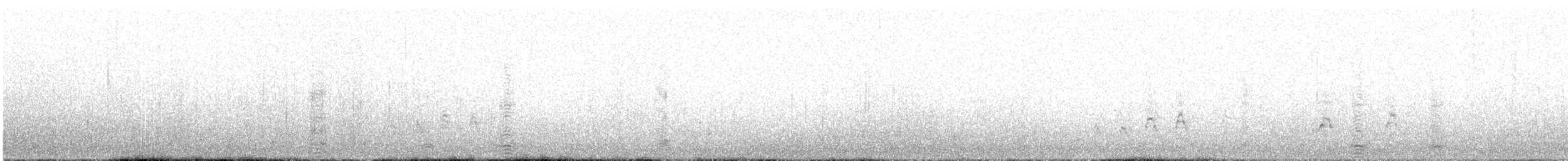 husice patagonská - ML582422071