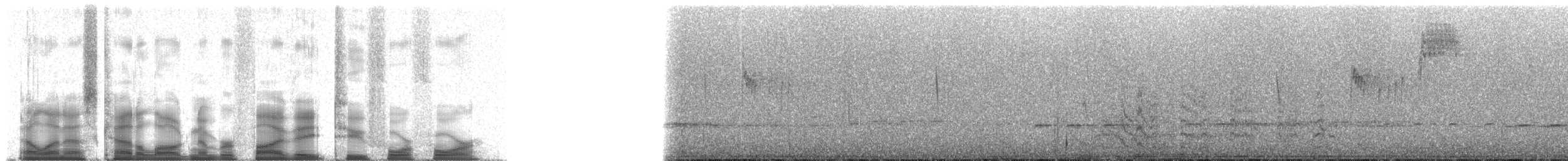 Сантамартийская которра - ML58244