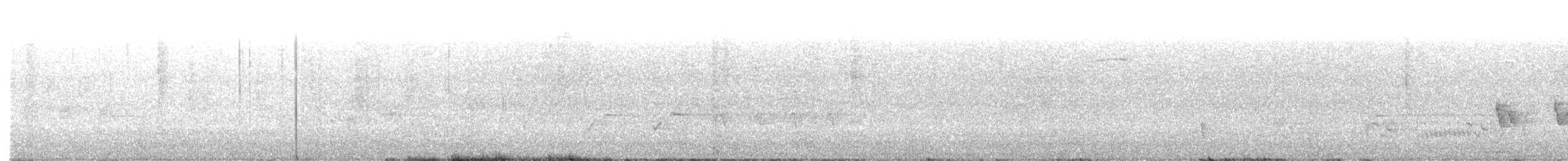 slavík obecný (ssp. golzii) - ML582452461