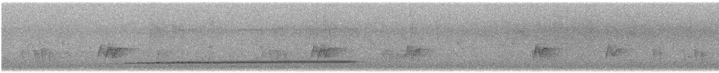 medozvěstka šupinkohrdlá - ML582466791