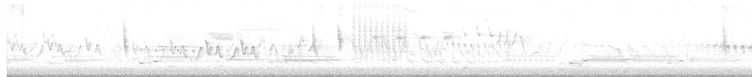 Sedge Wren - ML582471641