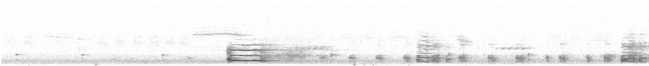 husa velká (ssp. anser) - ML582477191