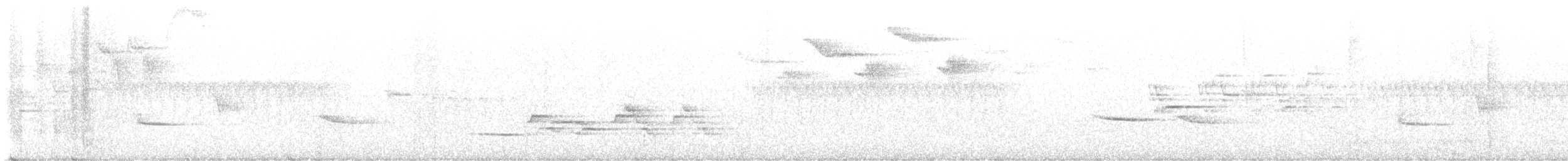 Дрізд-короткодзьоб плямистоволий - ML582487221
